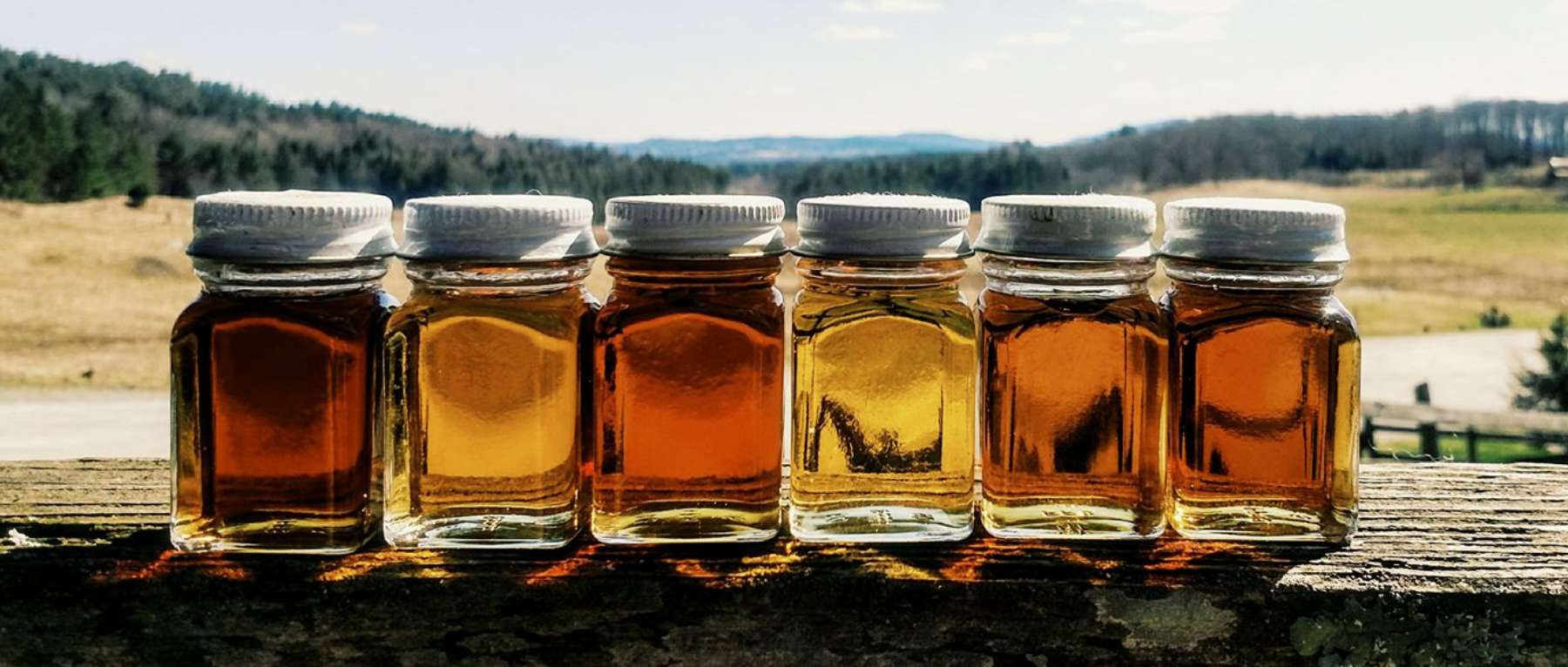 Maple Syrup Jars at Morse Farm Maple Sugarworks - Montpelier, VT