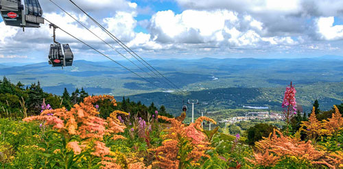 Fall Foliage in Vermont - Manchester to Bennington to Williamstown Scenic Drive