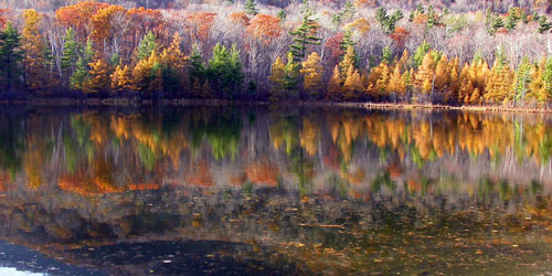 Fall Foliage in Vermont - Lake Bomoseem and St. Catherine