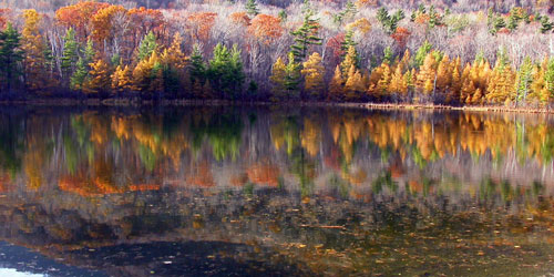 Fall Foliage in Vermont - Lake Bomoseem and St. Catherine