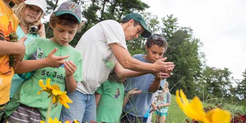 Taste of the Fields Summer Camp - Photo Credit Vera Chang and Shelburne Farms