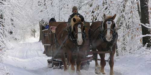 Horse Drawn Sleigh Rides in Vermont