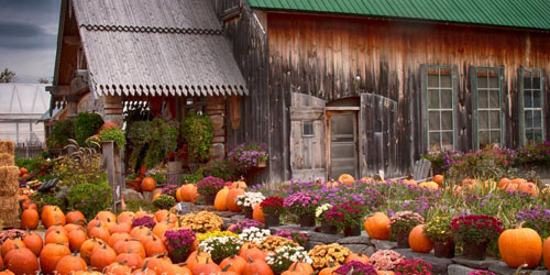 Pick Your Own Farms in Vermont