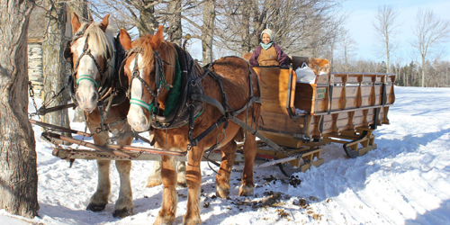 Taylor Farm sleigh rides