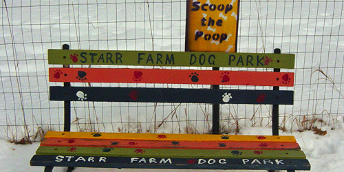 starr farm dog park in burlington vt