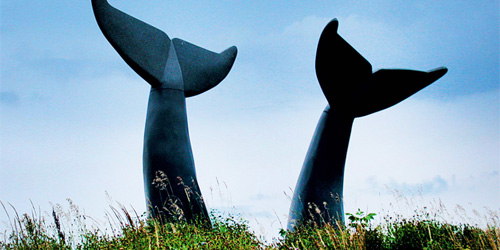 Whale's Tails Walking Path - Williston, VT - Photo Credit Michael Weizenegger