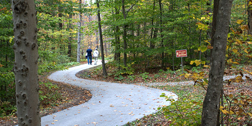 Hildene Walking Trails - Manchester, VT