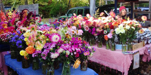 Brattleboro Farmers Market - Brattleboro, VT