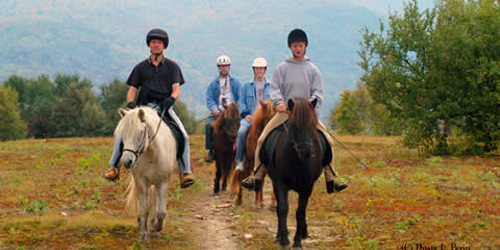 Vermont Icelandic Horse Farm - Waitsfield, VT