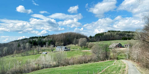 merck forest in vt