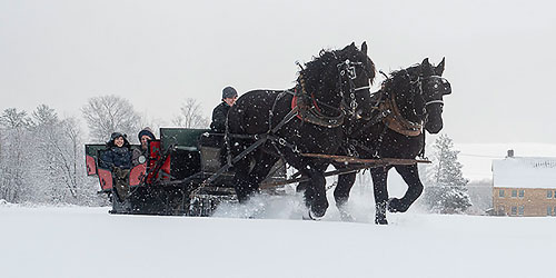 Sleigh Ride - Mountain Top Inn & Resort - Chittenden, VT