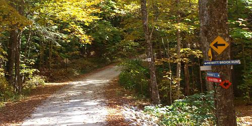 Hiking Trail - Mountain Top Inn & Resort - Chittenden, VT