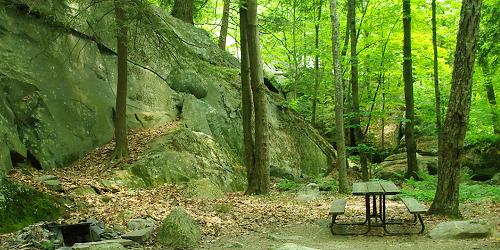 Branbury State Park - Brandon, VT - Photo Credit VT State Parks