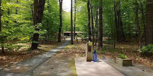 Campground at Wilgus State Park - Springfield, VT - Photo Credit VT State Parks