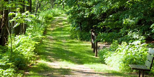 Wilgus State Park - Springfield, VT - Photo Credit VT State Parks