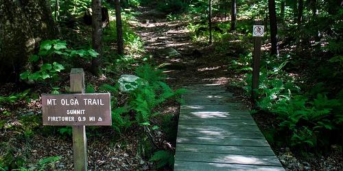 Mt. Olga Trail at Molly Stark State Park - Wilmington, VT - Photo Credit VT State Parks