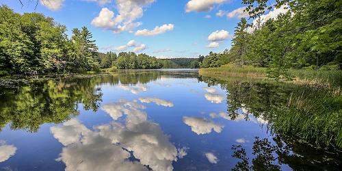 Lake Shaftsbury State Park - Photo Credit VT State Parks