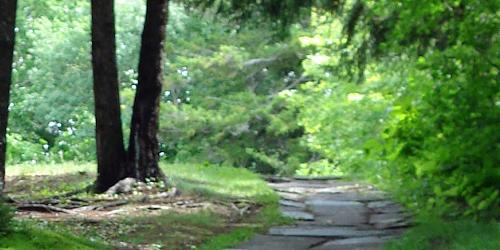 Allis State Park - Photo Credit VT State Parks