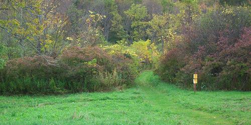 One World Conservation Center Reserve - Bennington, VT