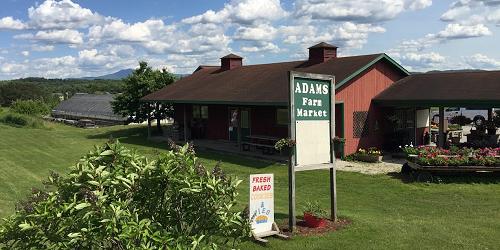 Adams Apple Orchard - Williston, VT