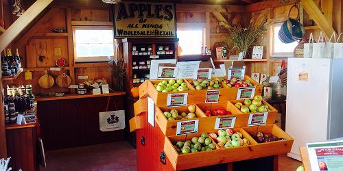 Apples at the Store - Scott Farm - Dummerston, VT