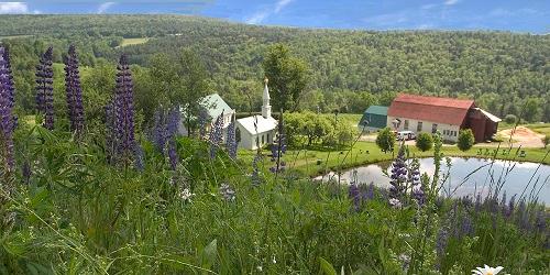 Dog Mountain View - Vermont's Northeast Kingdom