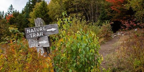 Fall Nature Trail Marker - Vermont's Northeast Kingdom