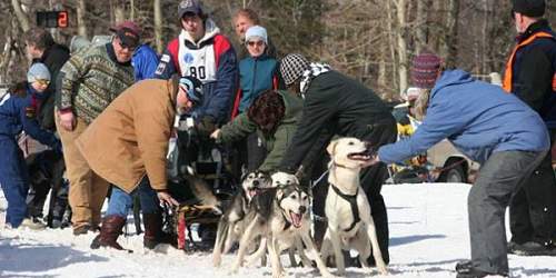 Sled Dogs - Vermont's Northeast Kingdom