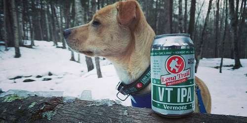 The Dog's Beer - Long Trail Brewery - Bridgewater Corners, VT