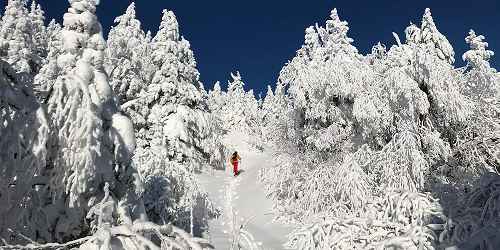 Cross Country Skiing at Bolton Valley Resort - Bolton Valley, VT