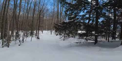 Cross Country Skiing at Blueberry Lake - Warren, VT