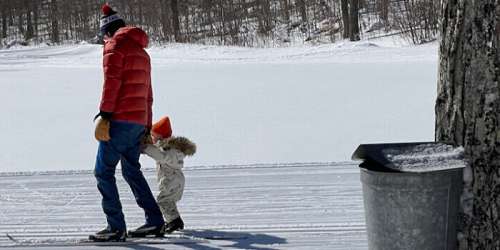 Wild Wings Cross Country Skiing - Peru, VT