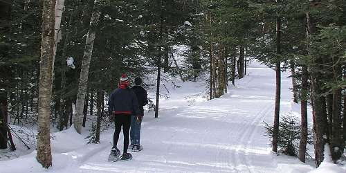 Timber Creek Cross Country Ski Center - West Dover, VT