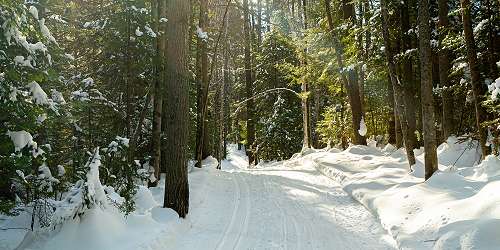 Viking Nordic Center - Londonderry, VT