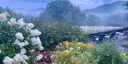 Misty Flowers - Wild Trails Farm - Springfield, VT