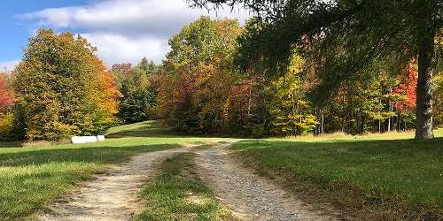 Fall Off Road Trail - Wild Trails Farm - Springfield, VT
