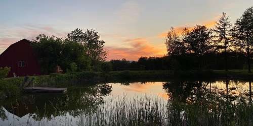 Sunrise View - Wild Trails Farm - Springfield, VT