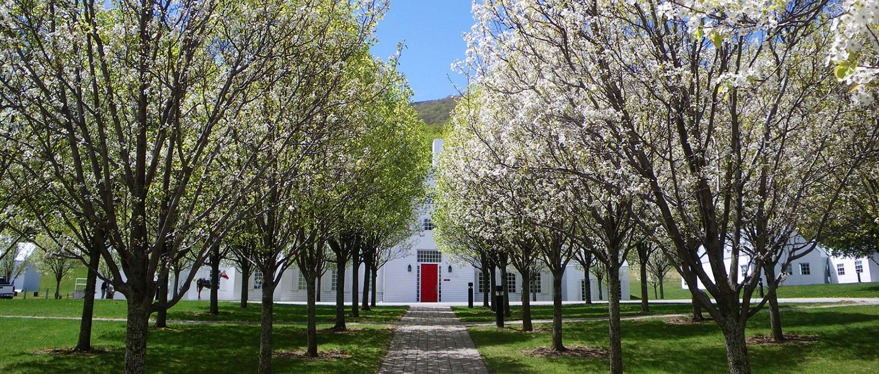 Spring Tree Bloom at Southern Vermont Arts Center - Manchester, VT