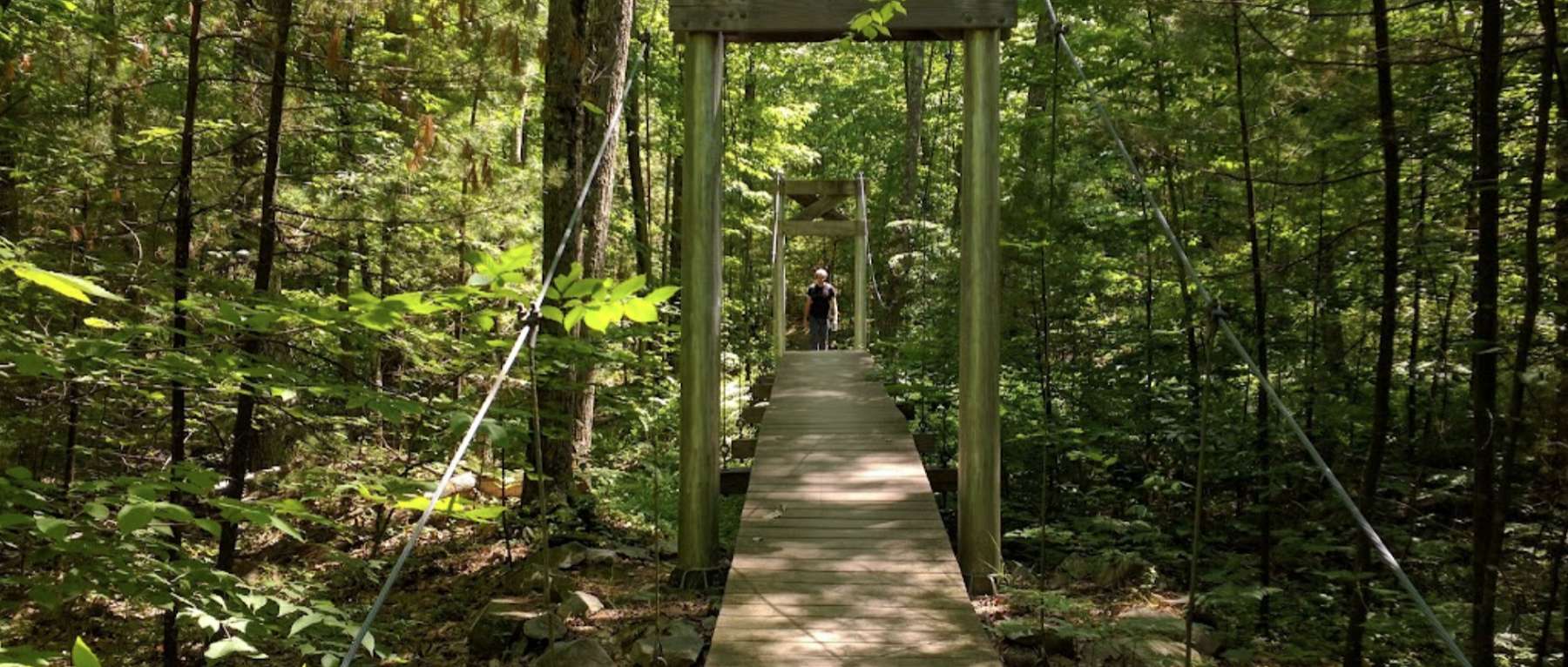 Trail Hiking in Pine Hill Park - Rutland, VT