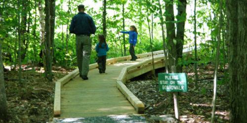 Boardwalk at Eshqua Bog Natural Area - Woodstock, VT - Photo Credit Eve Frankel