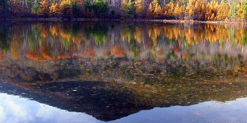 Foliage at Equinox Preserve - Manchester, VT